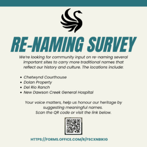 Re-Naming Survey
