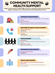 COMMUNITY MENTAL HEALTH SUPPORT